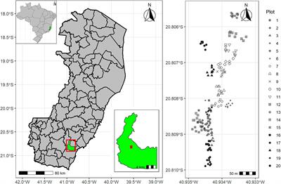 Genetic diversity of juçara palm: An alternative for selection and conservation in cash crop for fruit production